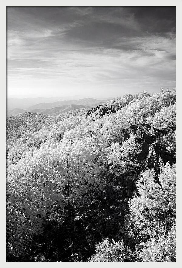 Tranquil Views From Stony Man Summit
