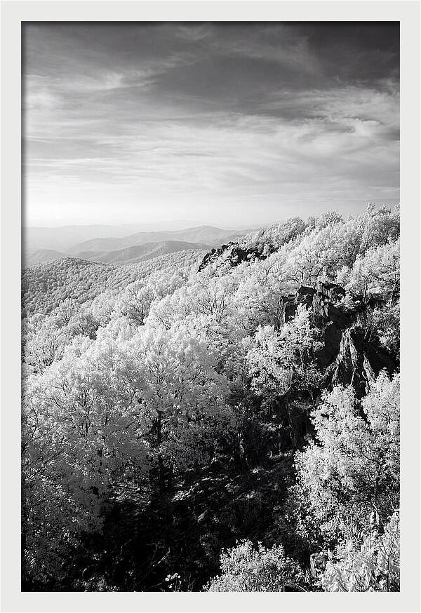 Tranquil Views From Stony Man Summit