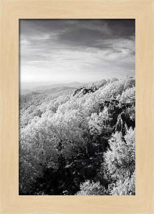Tranquil Views From Stony Man Summit