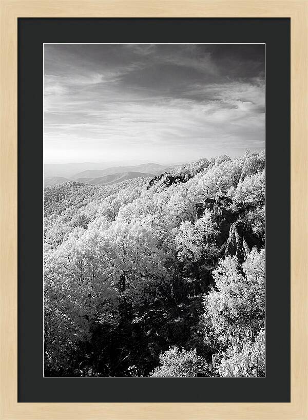 Tranquil Views From Stony Man Summit