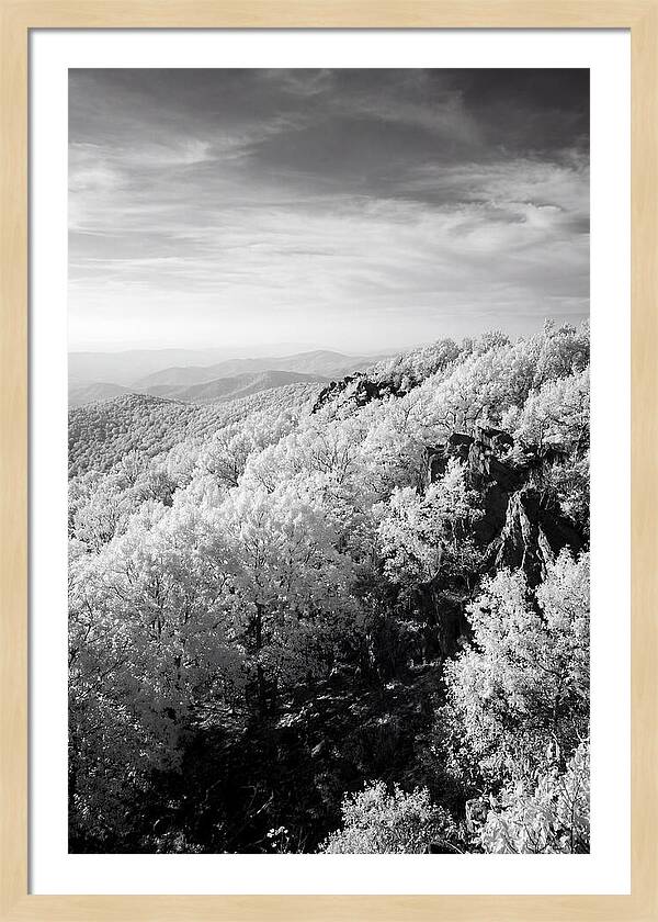 Tranquil Views From Stony Man Summit