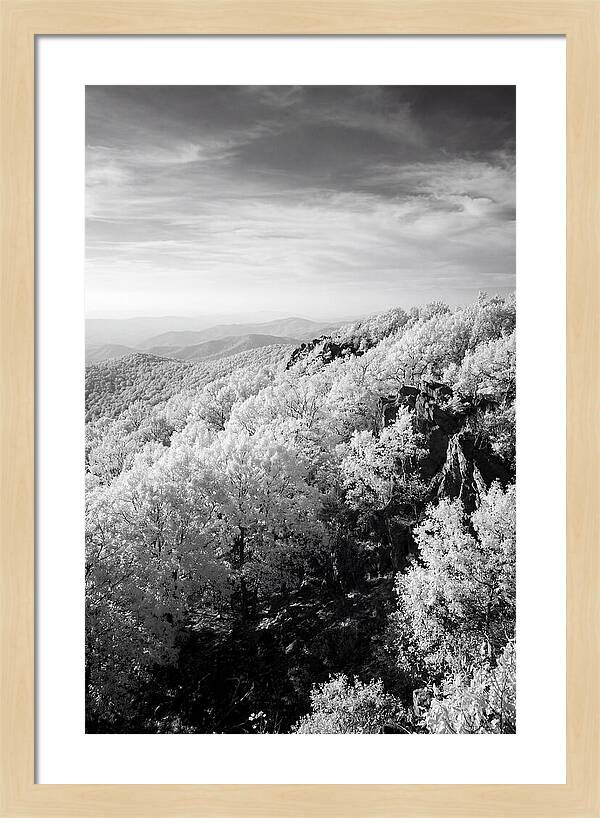 Tranquil Views From Stony Man Summit