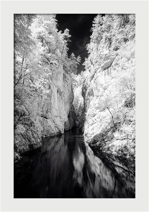 Tranquil Vintgar Gorge Escape