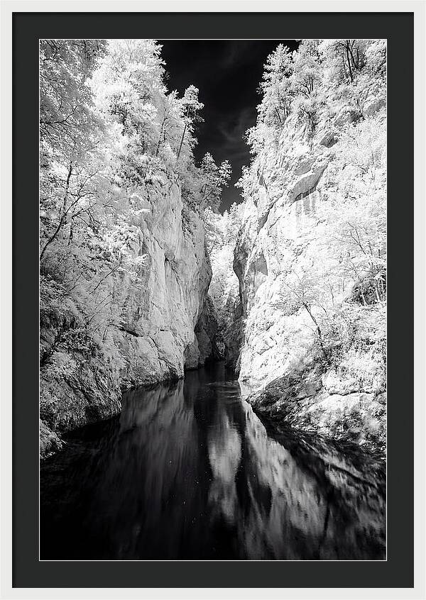 Tranquil Vintgar Gorge Escape