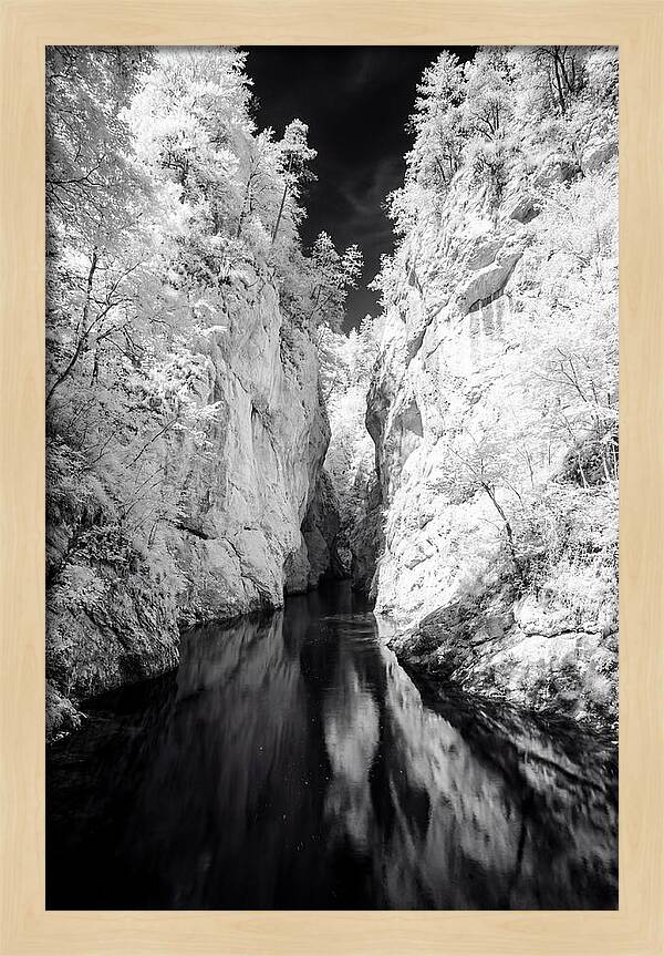 Tranquil Vintgar Gorge Escape