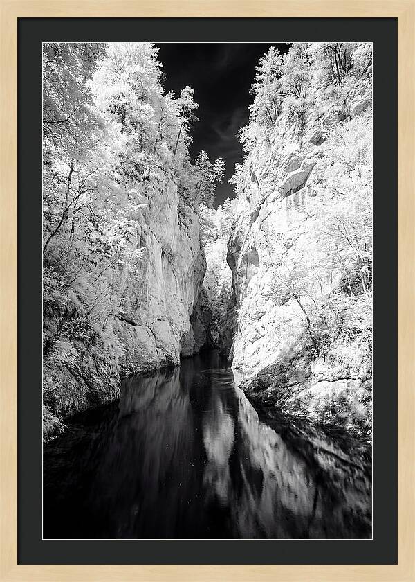 Tranquil Vintgar Gorge Escape