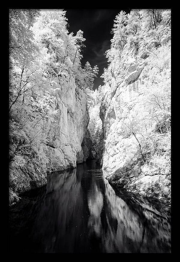 Tranquil Vintgar Gorge Escape