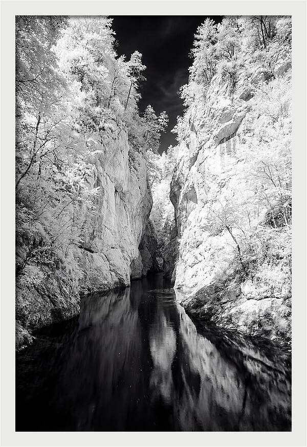 Tranquil Vintgar Gorge Escape