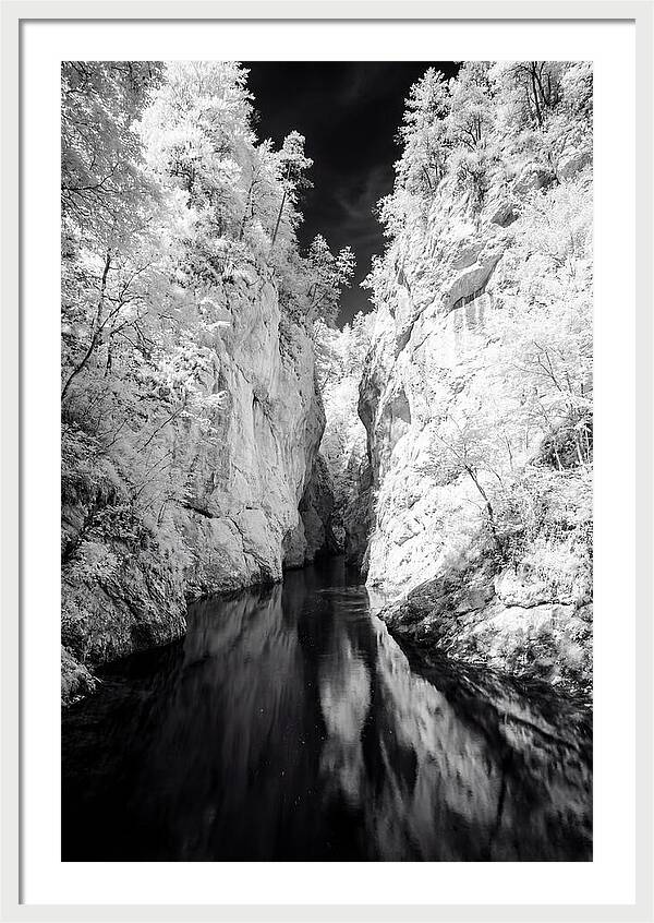 Tranquil Vintgar Gorge Escape