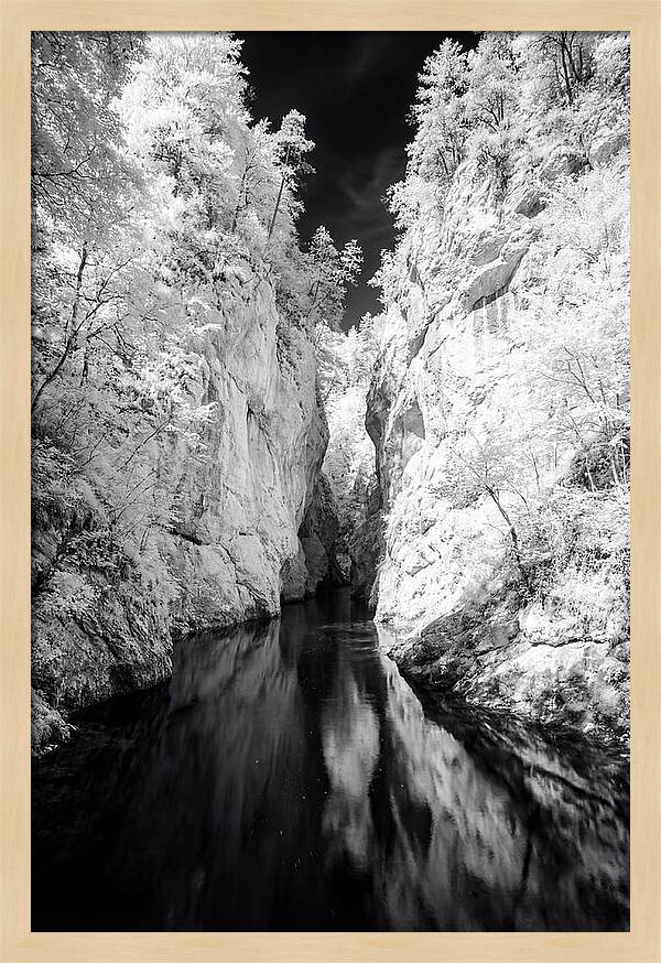 Tranquil Vintgar Gorge Escape