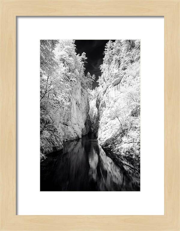 Tranquil Vintgar Gorge Escape