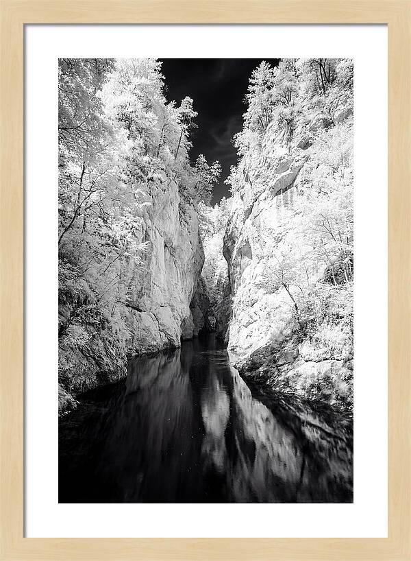 Tranquil Vintgar Gorge Escape