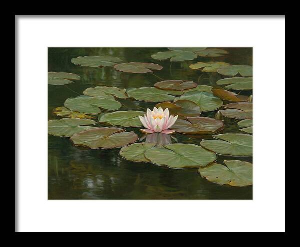 Tranquil Water Lily Bliss
