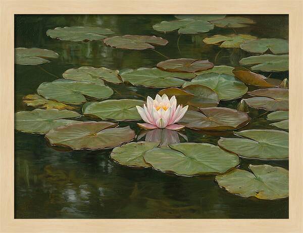 Tranquil Water Lily Bliss