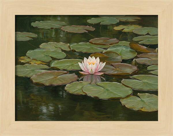 Tranquil Water Lily Bliss