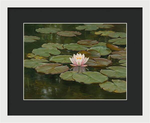 Tranquil Water Lily Bliss