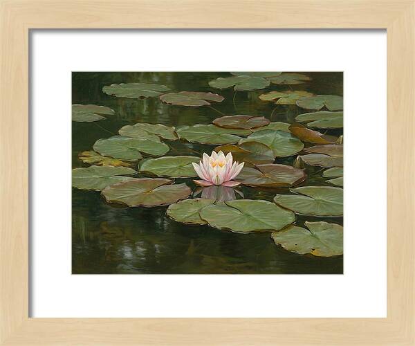 Tranquil Water Lily Bliss
