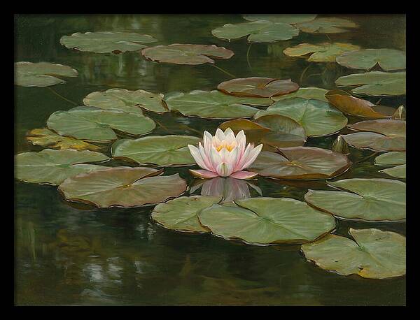 Tranquil Water Lily Bliss