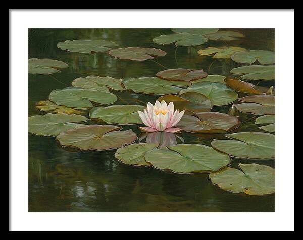 Tranquil Water Lily Bliss