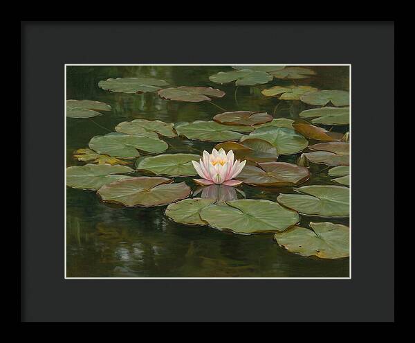 Tranquil Water Lily Bliss