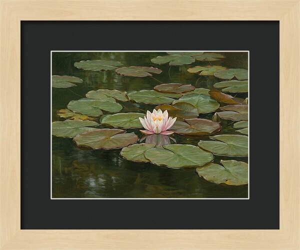 Tranquil Water Lily Bliss