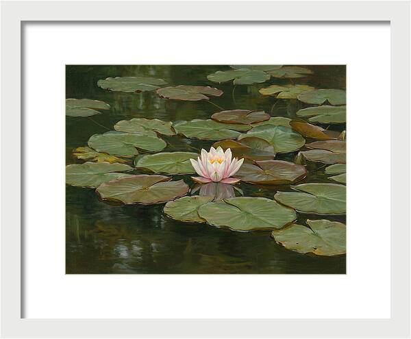 Tranquil Water Lily Bliss