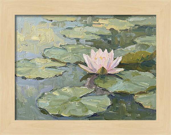 Tranquil Water Lotus