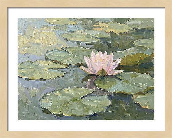 Tranquil Water Lotus