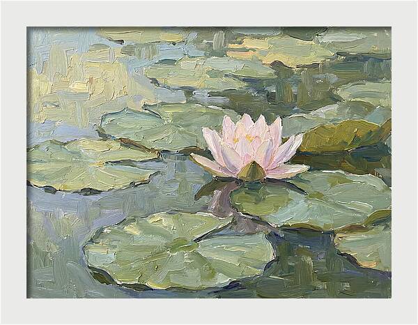 Tranquil Water Lotus
