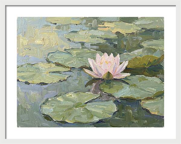 Tranquil Water Lotus