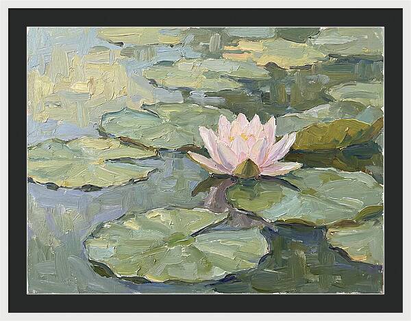 Tranquil Water Lotus
