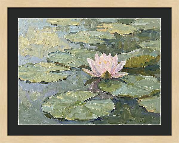 Tranquil Water Lotus