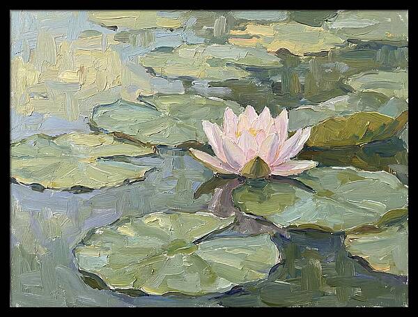 Tranquil Water Lotus