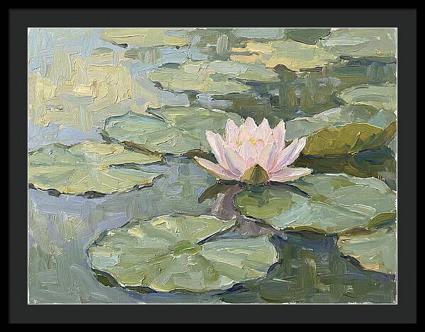 Tranquil Water Lotus