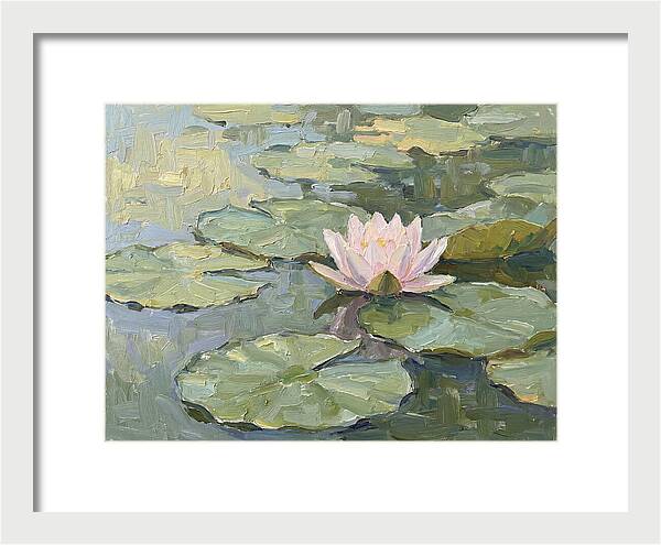 Tranquil Water Lotus