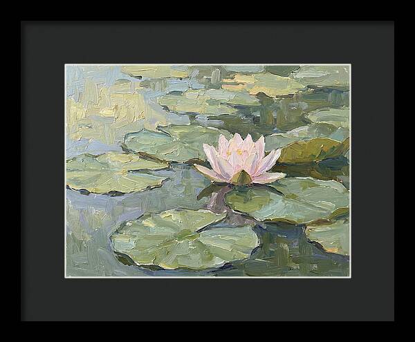 Tranquil Water Lotus