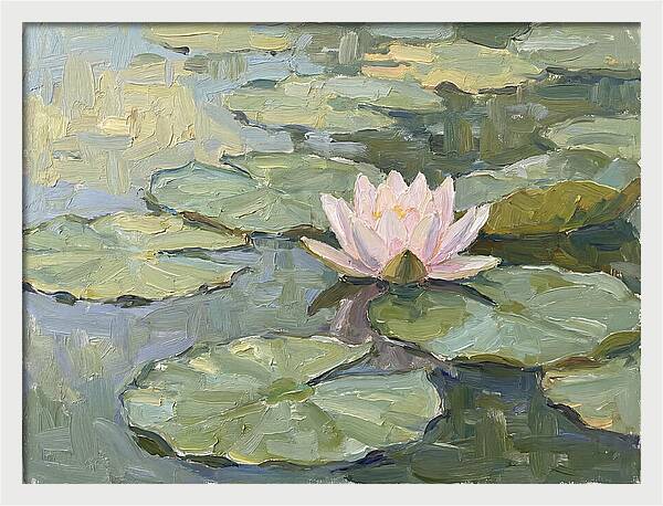 Tranquil Water Lotus