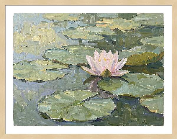 Tranquil Water Lotus