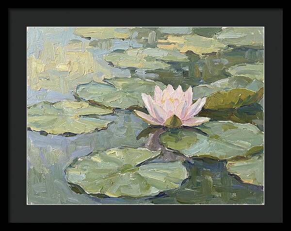 Tranquil Water Lotus