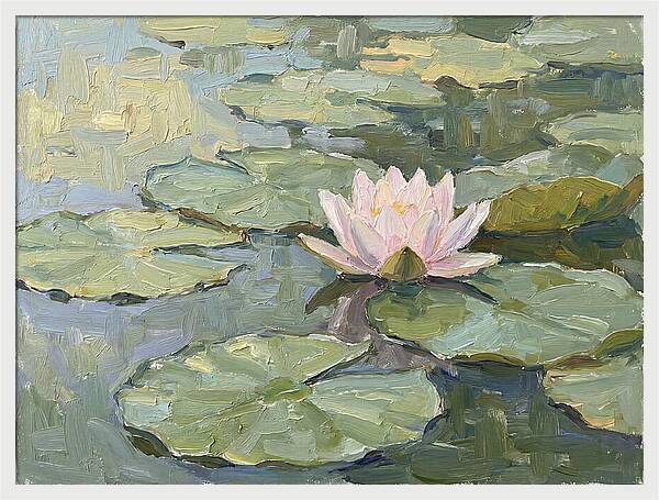 Tranquil Water Lotus