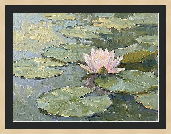 Tranquil Water Lotus