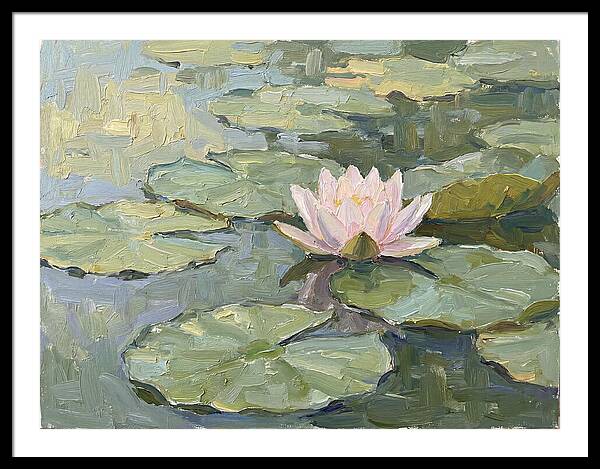 Tranquil Water Lotus