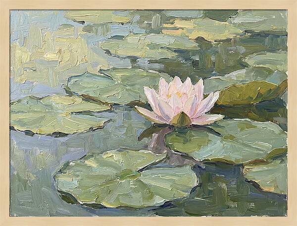 Tranquil Water Lotus