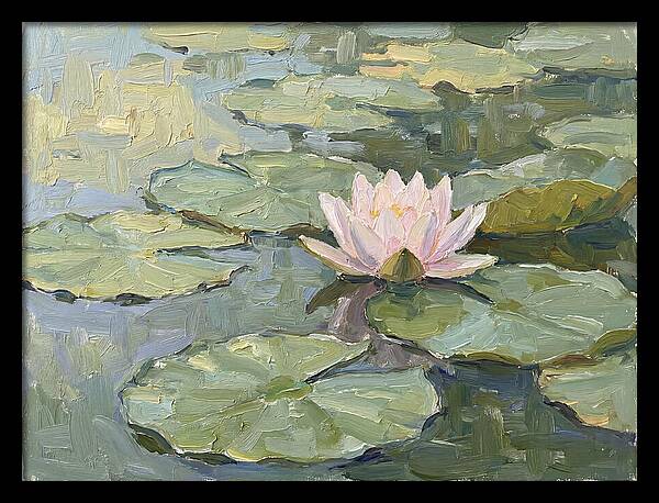 Tranquil Water Lotus