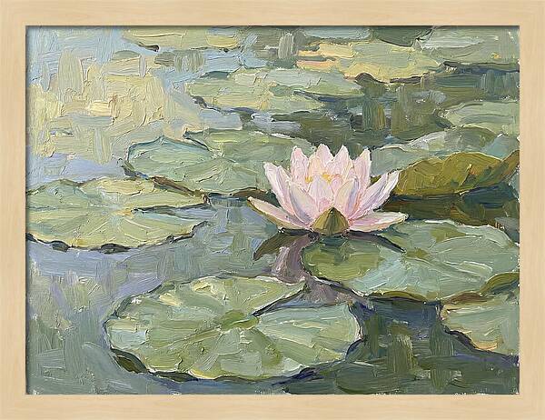 Tranquil Water Lotus