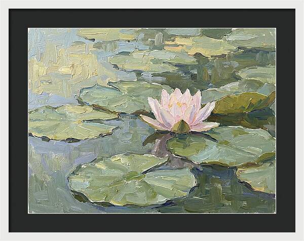 Tranquil Water Lotus