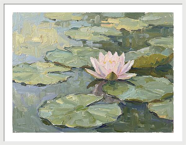 Tranquil Water Lotus