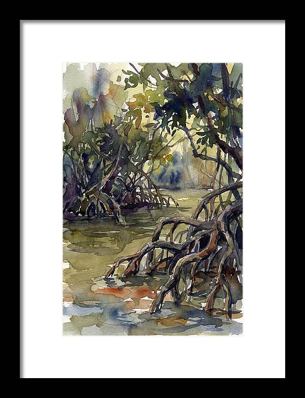 Tranquil Waters Among Mangroves 5217
