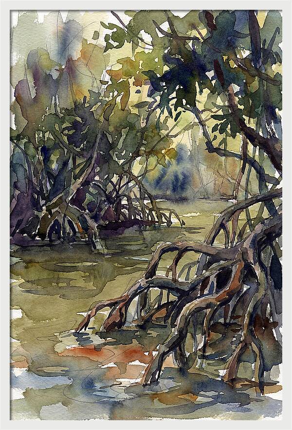 Tranquil Waters Among Mangroves 5217