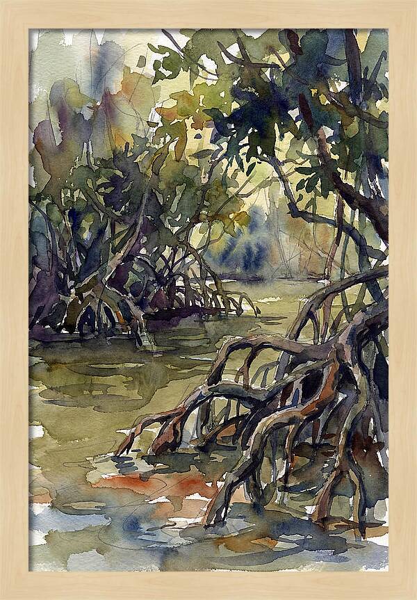 Tranquil Waters Among Mangroves 5217